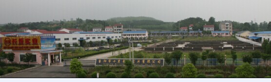 公司全景圖片