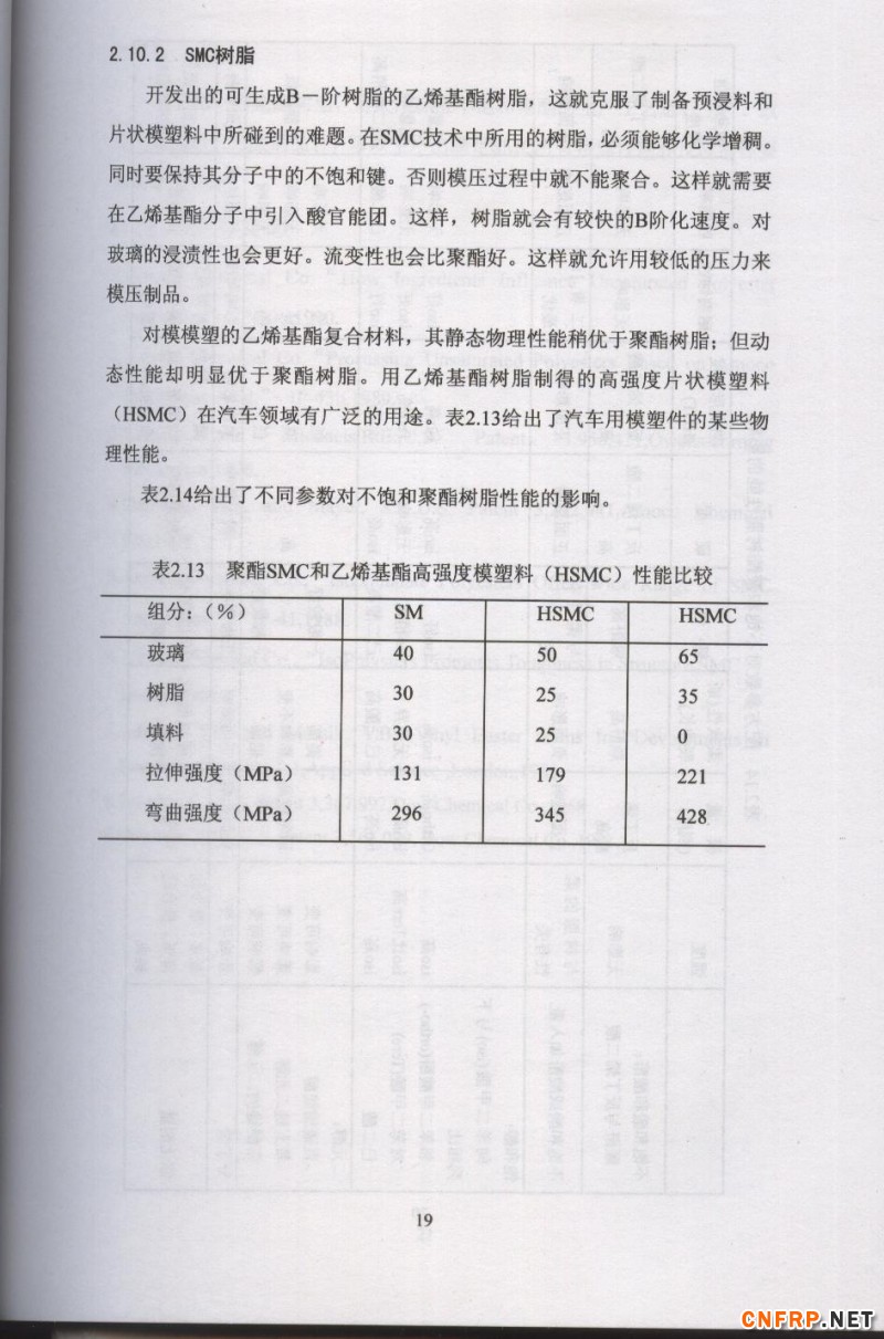 片狀模塑料 19