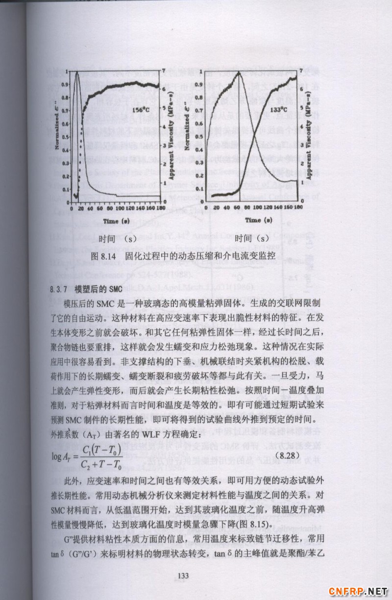 片狀模塑料 133